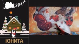 Котята питомника кошек  РАДУГА