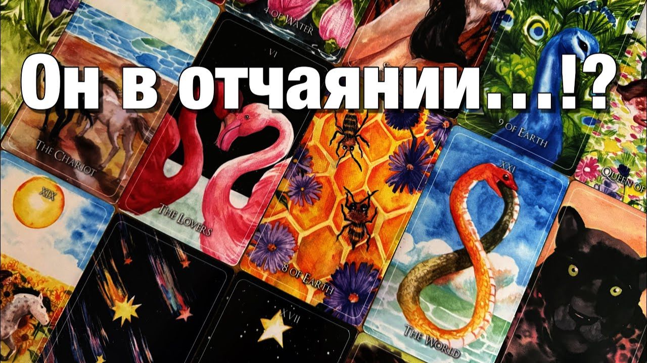 ТАРО РАСКЛАД☘️❤️ЕГО МЫСЛИ О ВАС НАКАНУНЕ ПЕРЕД СНОМ!😱С ЧЕМ ОН ЗАСЫПАЛ ВЧЕРА⁉️ смотреть онлайн