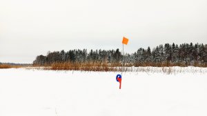 РЫБАЛКА НА ЖЕРЛИЦЫ В ЯНВАРЕ 2026...ФЛАЖКИ НЕ ДАЮТ ОТДЫХАТЬ