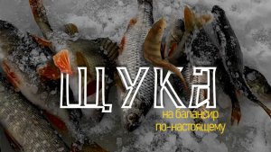 Зимняя рыбалка. Рыбалка. Самара озеро Казанское 8.1.2026 (где рыбачить на балансир ловить щуку)