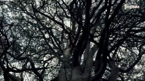 Крымское счастье Юлии Балахтиновой