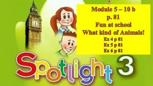 English Spotlight 3 p 81 Спотлайт 3 стр 81