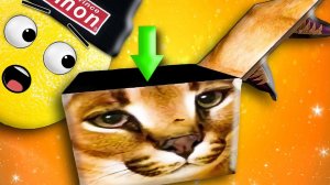 СТРАШНАЯ ТАЙНА ШЛЕПЫ В ГАРРИС МОД! НУБАСТЕР