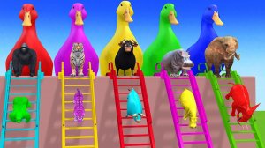 Веселые игры с слоном, гориллой, бегемотом, тигром - 3D игра с животными - Забавные 3D животные