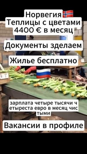 Работа в Европе для граждан СНГ