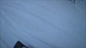 на самодельных снегоходах через лес, ......