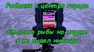 Рыбалка в центре города. Полный экран рыбы в эхолоте. Новая локация для меня.
