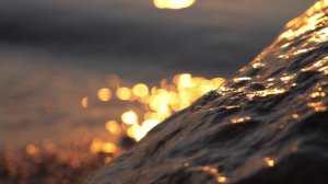 «Ты — свет Христов!» -  NEW MSD Music Laboratory