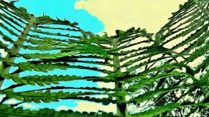 Папоротник у реки. Май 2025 года.