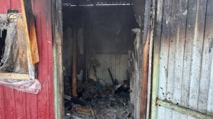 В Подмосковье возбудили дело после пожара в хозпостройке, где погиб ребенок