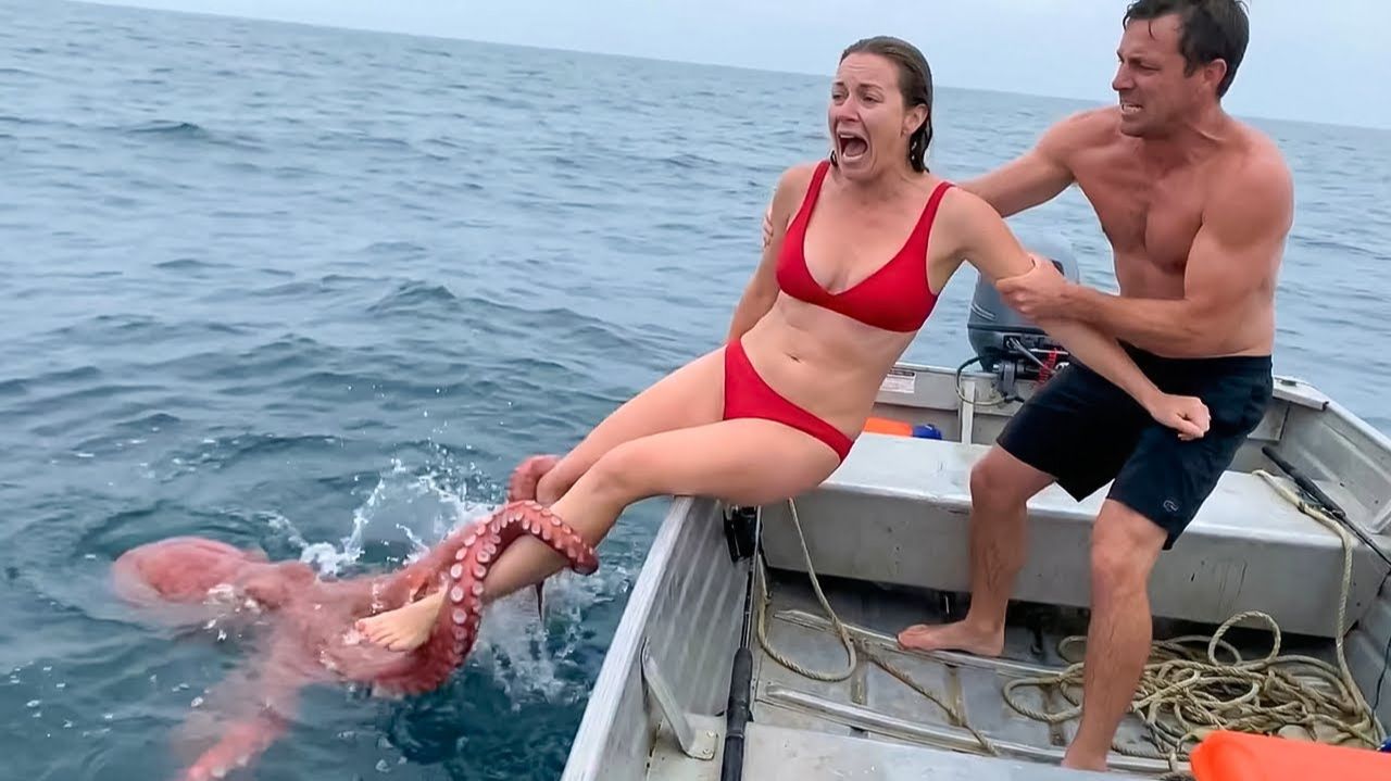 Интересные моменты с животными, снятые на камеру смотреть онлайн