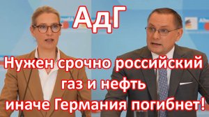 Руководство АдГ: Германия погибает, нужны срочно российская нефть и газ! Ещё и Трамп добивает ЕС
