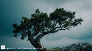 Гороскоп для Овна. (С января по март 2026).