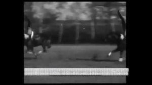 ДЖИГИТОВКА ТРЕНЕРОВКА