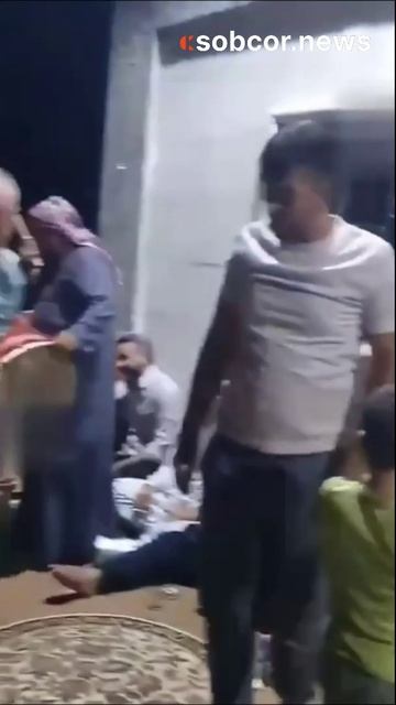 Давайте, попробуйте аргументировано опровергнуть Дарвина. #юмор #прикол