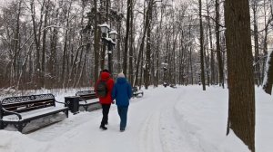 Никогда ни о чем не жалейте... Андрей Дементьев.