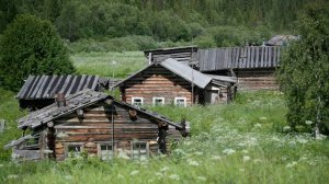 Лес.  Истории в сибирской Тайге и Деревне.