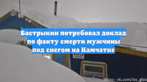 Бастрыкин затребовал доклад о стрельбе на остановке в Москве