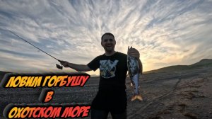 Ловим горбушу на Сахалине с берега Охотского моря! Активный отдых и лучшие места САХАЛИНА