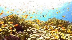 Илюстрации (Part 2)