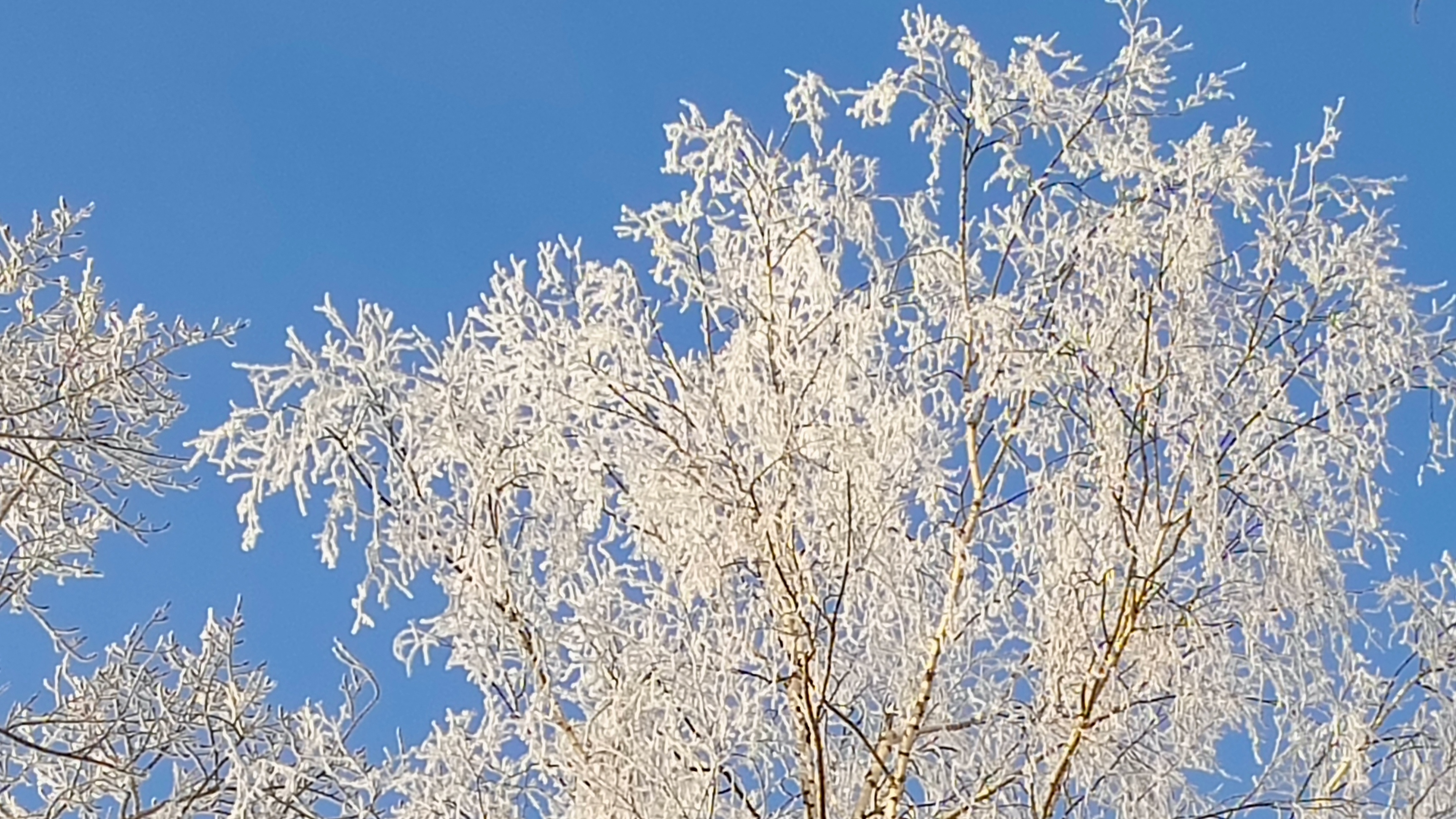 Москва. СП "Вязание это серьёзно 2. ВЭС-2"Кругосветка, станция 2. смотреть онлайн