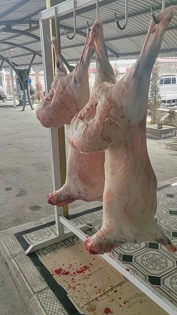 Шашлык в перевале  #шашлыки  #узбекистан