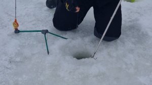 сёмкина 2 в комаровке