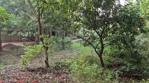 Молодежный Центр Ауровиля Индия. Мир Универсологии