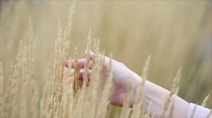 ПРЕЛЕСТНАЯ ЛЕДИ_1