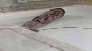 потопление парохода