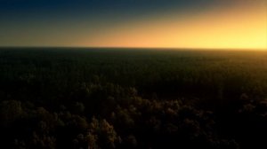 Прогулки с динозаврами.2025г 1 серияСирота.