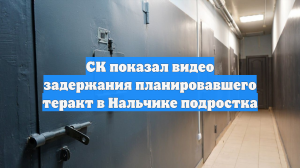 СК показал видео задержания планировавшего теракт в Нальчике подростка