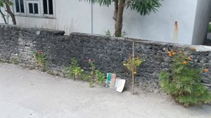 Остров Камаду, Мальдивы, январь 2026 (Kamadhoo, Maldives, January 2026)