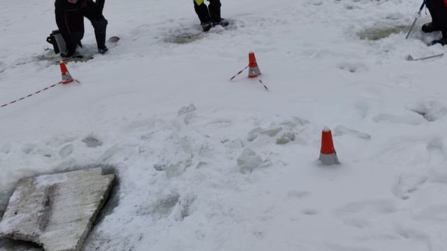 Светлые Горы Форель 17.01. 2026г. смотреть онлайн