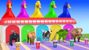 Веселые игры с слоном, гориллой, бегемотом, тигром - 3D игра с животными - Забавные 3D животные