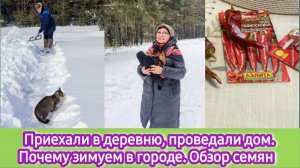 Приехали в деревню, проведали дом. Почему зимуем в городе. Обзор семян