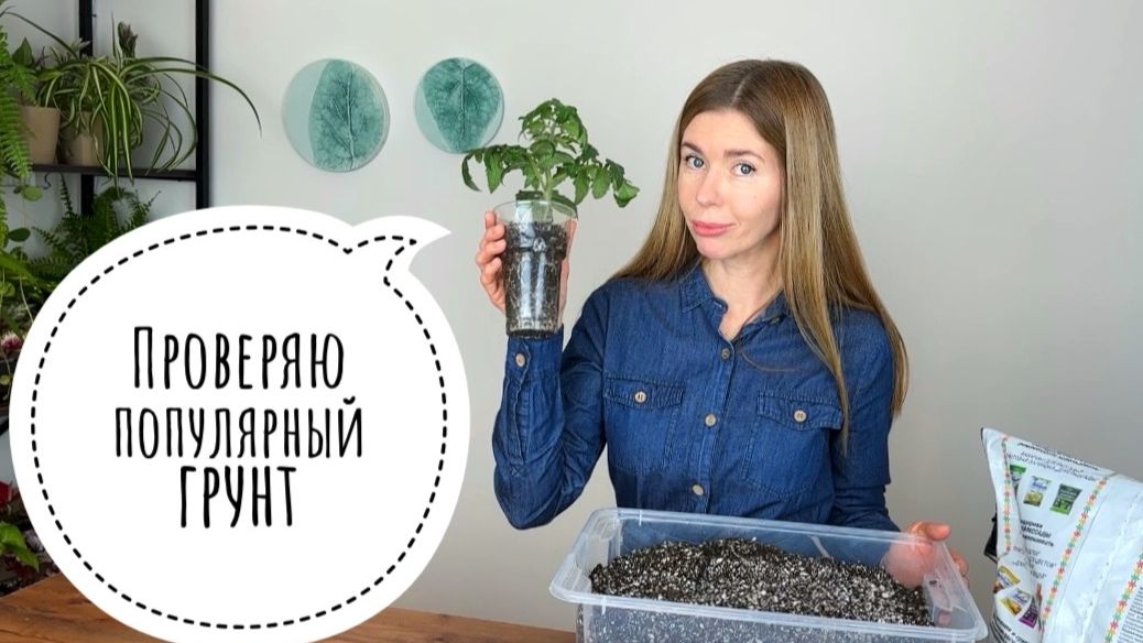 Готовлю идеальный грунт для рассады. Как удалось избавиться от мошек смотреть онлайн