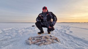 Мороз и солнце день чудесный или рузский подлещик. 17.01.26. 🥶🎣🌞