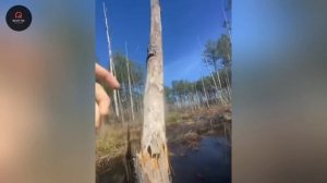 70 самых безумных моментов, снятых на камеру