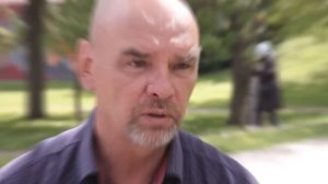 геноцид русских пчёл