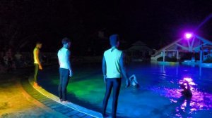 Кубинское Шоу..... 16.01.26.