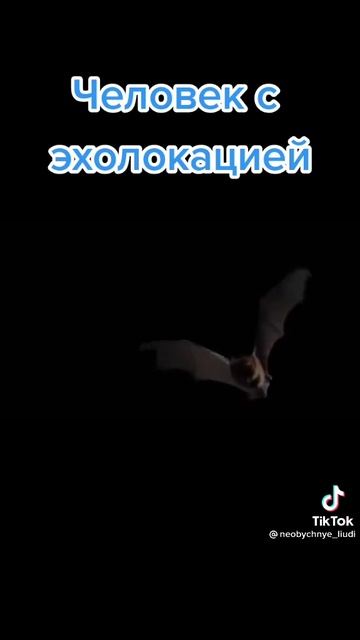 999.Человек с эхолокацией