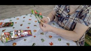 Разбираю семена, готовлю к посеву. Моя рассада эустомы. Поход по магазинам, распаковка.