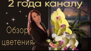 Блогерское ДР🎉 Путешествие. Цветение орхидей