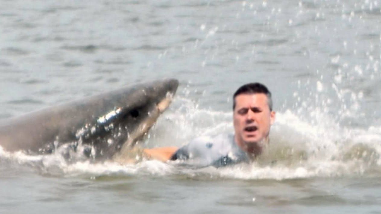 Они зашли в воду и не вышли | Нападение акулы попало на камеру смотреть онлайн