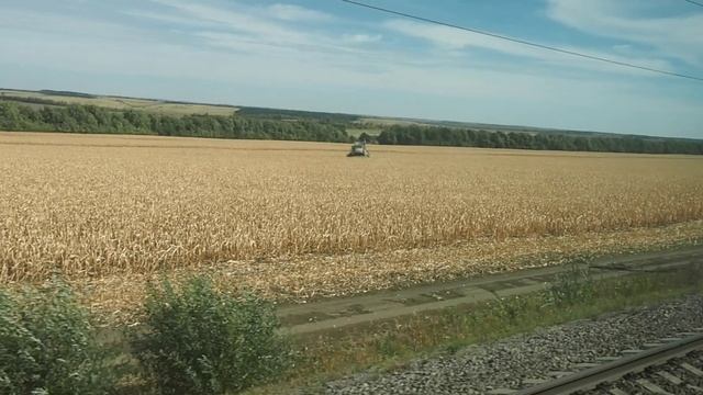 Россошь-Лихая - вид из окна поезда (железные дороги России). смотреть онлайн