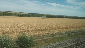 Россошь-Лихая - вид из окна поезда (железные дороги России).