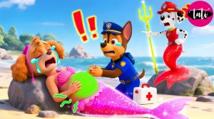 Щенячий патруль и Маршалл. Залипательное видео. Мультфильм для детей и малышей. Анимация 68