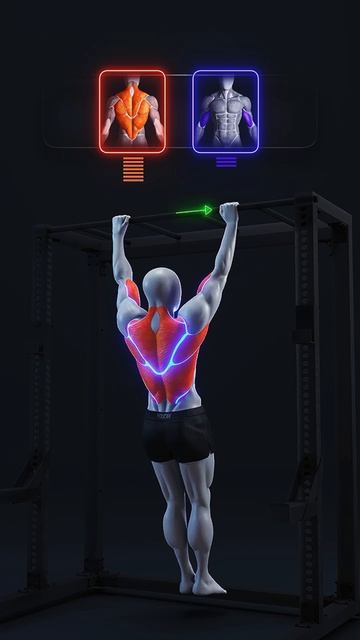 Правильная ТЕХНИКА Подтягиваний смотреть онлайн
