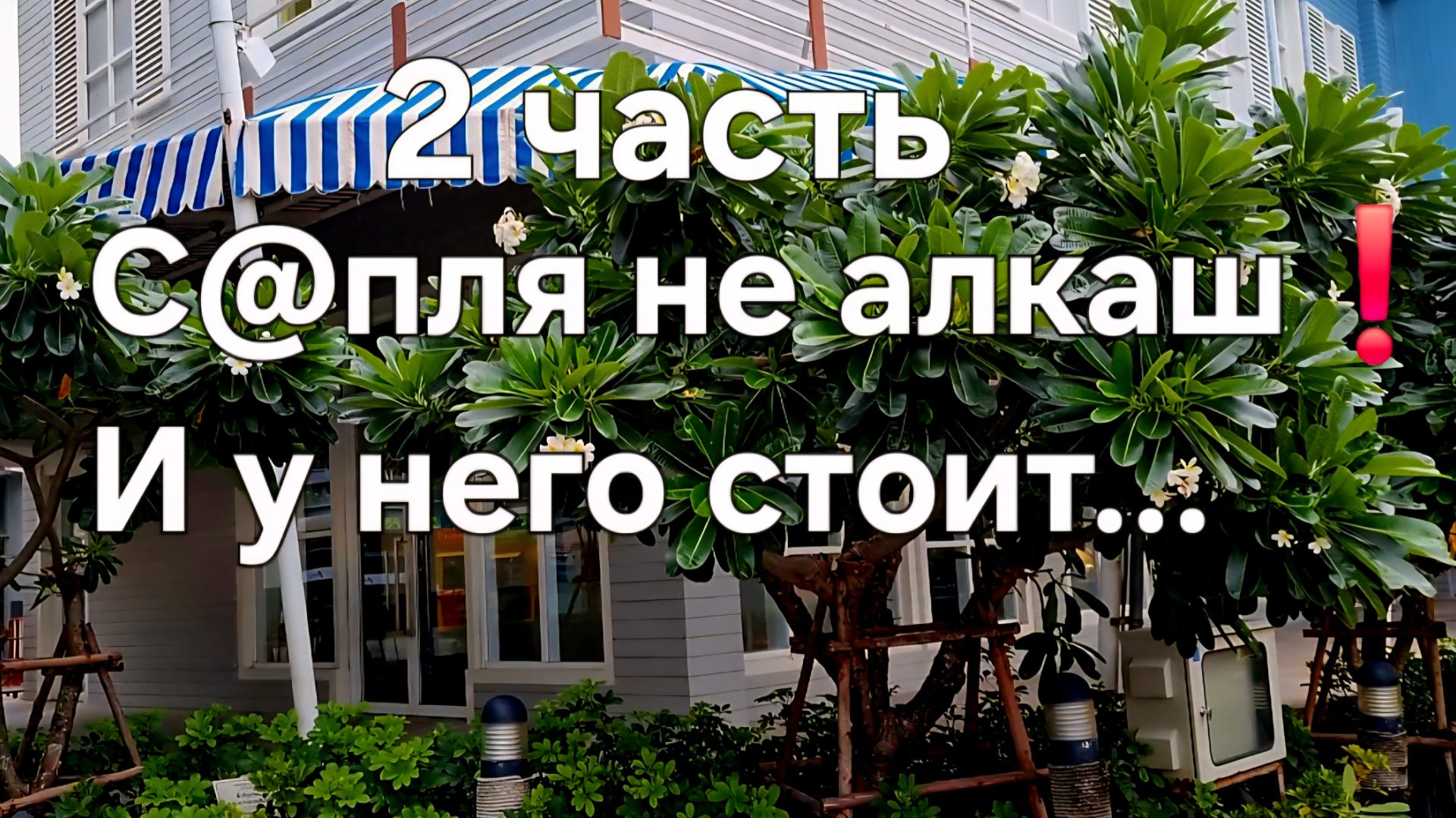 С@пля не алкаш❗И у него стоит... смотреть онлайн